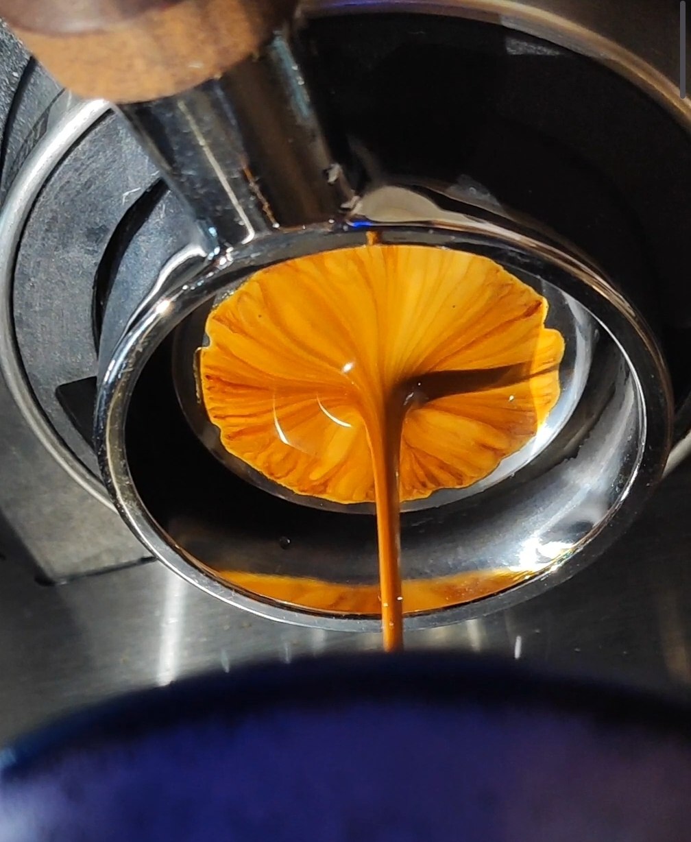 Espresso pulling through a bottomless portafilter, vibrant golden crema